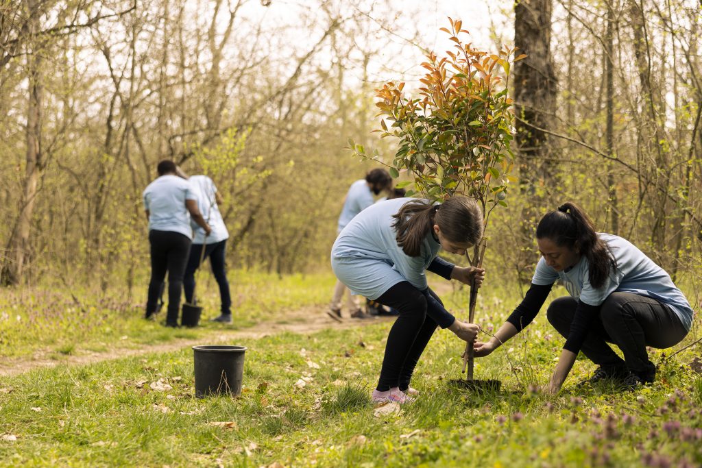 Afforestation: A Green Solution to Save the Planet